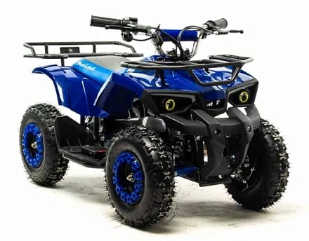 Электроквадроцикл Motoland ATV E009 1000W