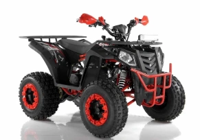 Квадроцикл Wels Evo X2 200cc
