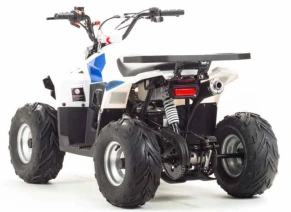 Квадроцикл Motoland 110 EAGLE (2020 г.)