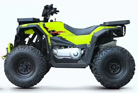 Квадроцикл Progasi RaceJumper 200SE