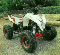 Квадроцикл MOTAX GEKKON 90cc 1+1 (Реверс)
