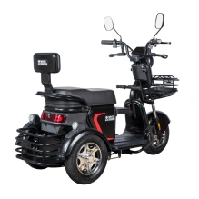 Электротрицикл White Siberia Sibtrike L 2000W городской