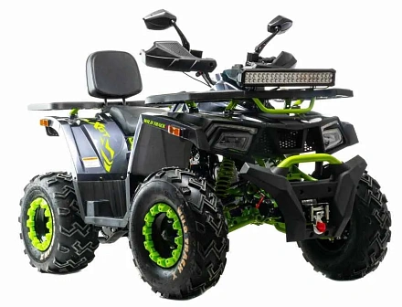 Квадроцикл Motoland 200 WILD TRACK X WINCH (баланс. вал)