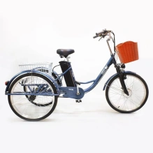 Электровелосипед Green Camel Трайк-24
