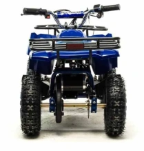 Электроквадроцикл Motoland ATV E008 800Вт