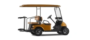 Гольф кар EWAY HM2+2