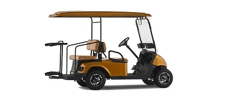 Гольф кар EWAY HM2+2