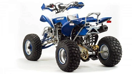 Квадроцикл Motoland 250 DAKAR