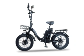 Электровелосипед Minako F11 Dual