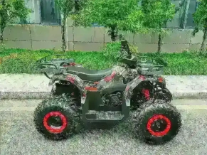 Квадроцикл MOTAX Grizlik T 200