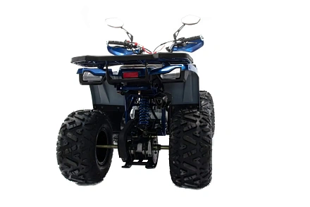 Квадроцикл Motoland (п) 125 WILD X PRO А