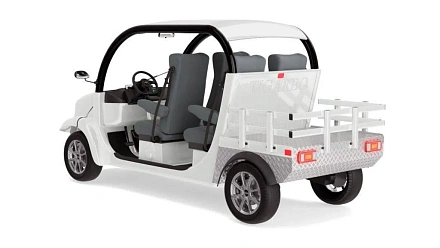 Гольфкар Elecar 5E-TIGARBO 4G