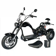 Электроскутер Skyboard CITYCOCO Chopper -4000 Harrow (Elbrus)