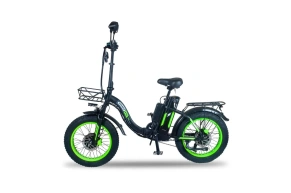 Электровелосипед Minako F11 Dual