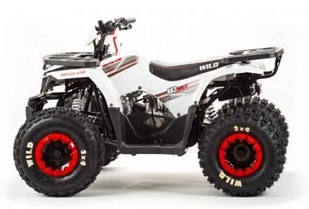 Квадроцикл Motoland 125 WILD (2020 г.)