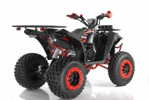Квадроцикл Wels Evo X2 200cc