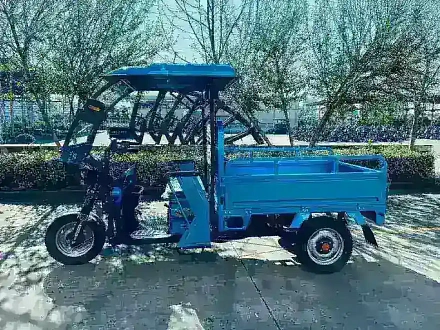 Электротрицикл грузовой Green Camel Тендер 2 (1000W 30км/ч) крыша, понижающая