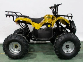 Электроквадроцикл Green Camel Атакама T220 (48V 1000W R8 Дифференциал)
