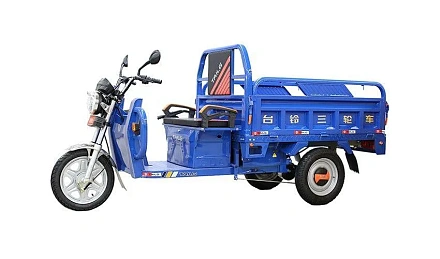 Электротрицикл TaiLG TL1000
