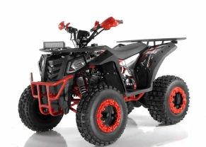 Квадроцикл Wels Evo X2 200cc