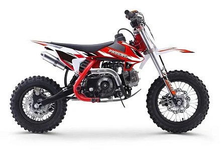 Мотоцикл Питбайк PROGASI Kids Power 110 красный