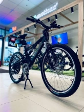 Электровелосипед E-motions Golden Motor 1000W