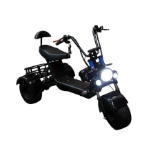 Электроскутер GT Citycoco X5 Trike