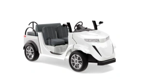 Гольфкар Elecar 5E-TIGARBO 2 Cabrio