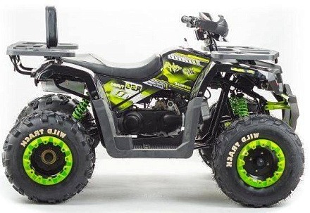 Квадроцикл Motoland 200 WILD TRACK LUX A