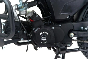 Мотоцикл Motoland Альфа RS LUX 11 (LM48-B)