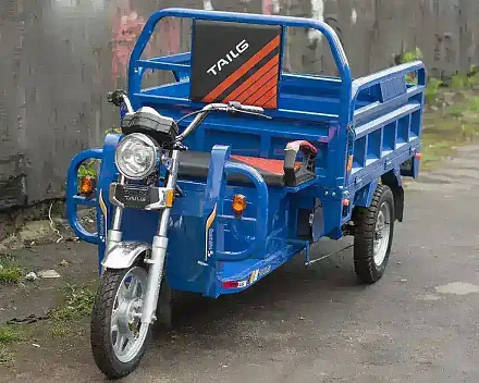 Электротрицикл TaiLG TL1000