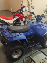 Квадроцикл IRBIS ATV250