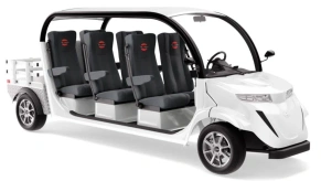 Гольфкар Elecar 5E-TIGARBO 6G