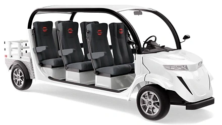 Гольфкар Elecar 5E-TIGARBO 6G