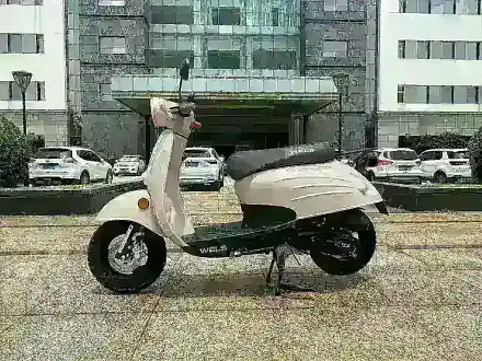 Скутер WELS VERDЕ