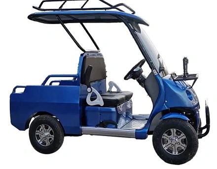 Электромобиль Гольфкар Green Camel A2P (2+Plate 1800W R10 alum)