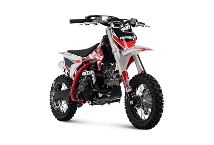 Мотоцикл Питбайк PROGASI Kids Power 110 красный