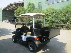 ГОЛЬФКАР Voltus CLUB 2M CARGO
