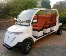 Гольфкар Elecar 5E-TIGARBO 6+2