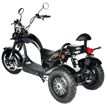 Электроскутер Skyboard CITYCOCO Chopper -4000 Harrow (Elbrus)