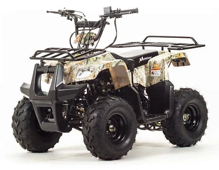 Квадроцикл Motoland 110 RIDER