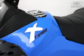 Детский электроквадроцикл Rivertoys T001TT 4WD
