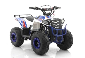 Квадроцикл MOTAX GRIZLIK A110