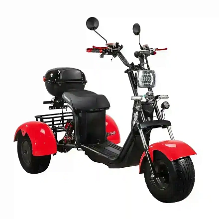 Электроскутер SKYBOARD CITYCOCO TRIKE BR40-3000 PRO FAST OFF-ROAD