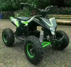 Электроквадроцикл MOTAX GEKKON 1300W