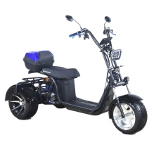 Электроскутер SKYBOARD CITYCOCO MyRussia BR60 3000W с корзиной
