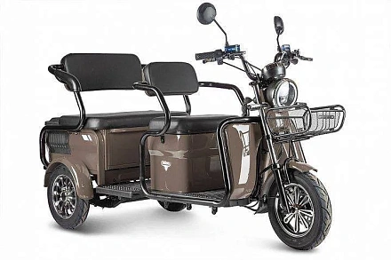 Электротрицикл Rutrike Экипаж Люкс