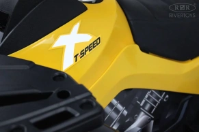 Детский электроквадроцикл Rivertoys T001TT 4WD