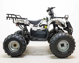 Электроквадроцикл Green Camel Атакама T220 (48V 1000W R8 Дифференциал)