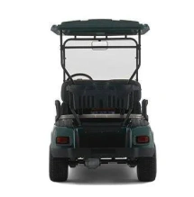 Гольф кар EWAY HM4